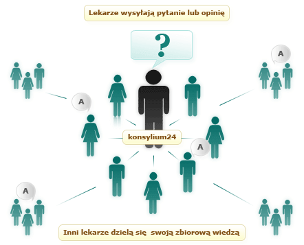 K24 diagram 5c15fe9bbce136e15ef71b4f5ae8a085ad78e04426c10763c47abf9183470029
