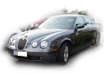 Dziki kociak szuka nowego właściciela - jaguar s-type do sprzedania :-))