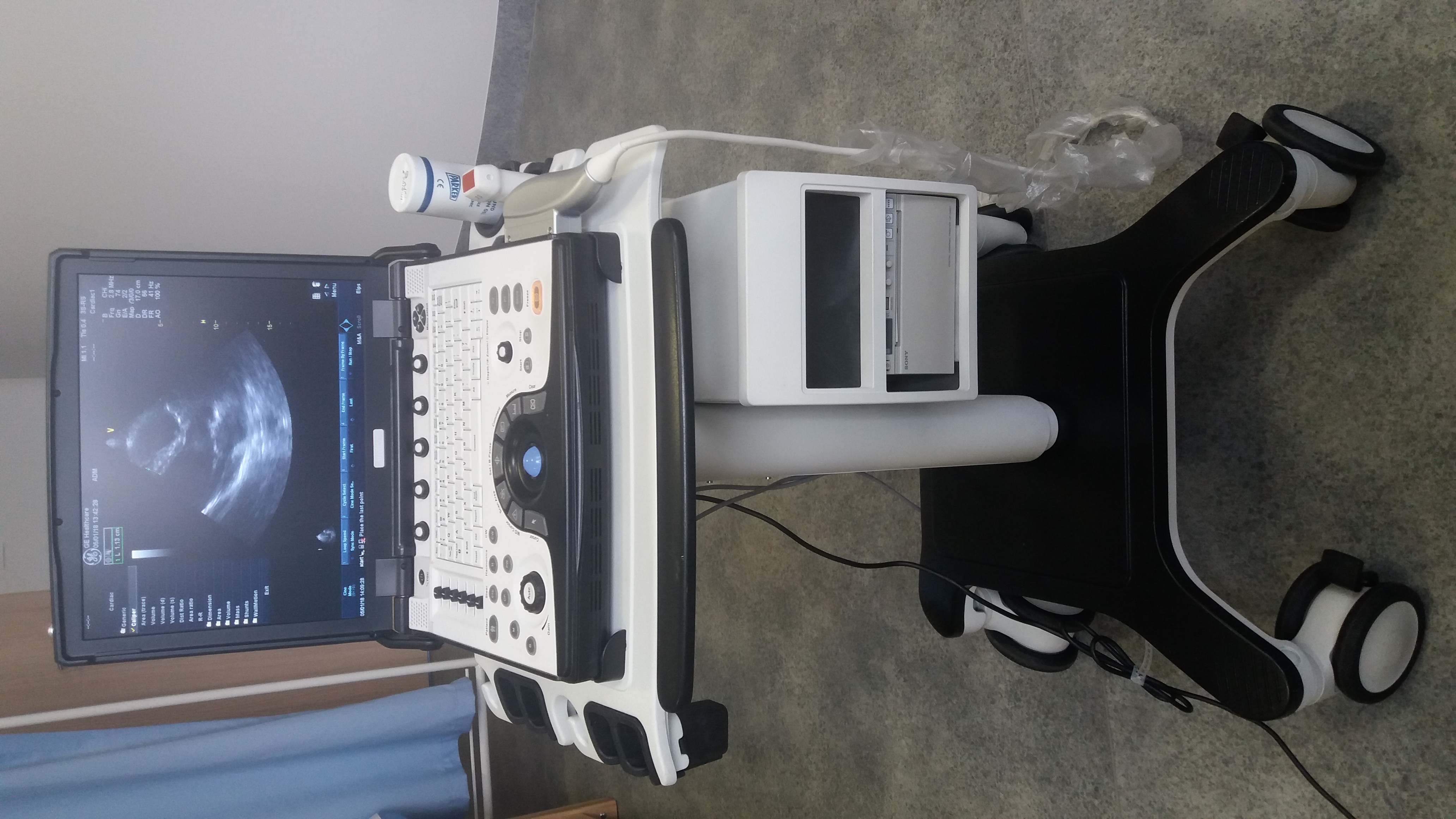 sprzedam przenośny echokardiograf Vivid e